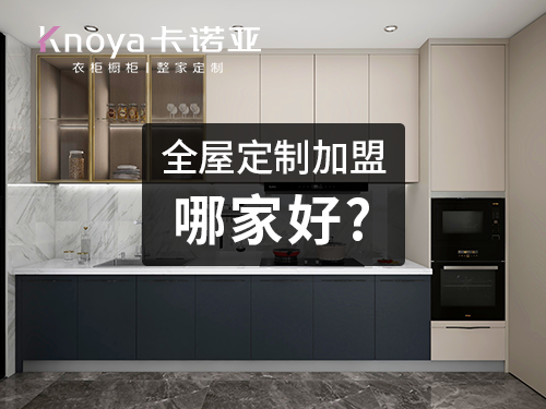 绥化全屋定制加盟 绥化全屋定制加盟哪个品牌好?绥化全屋定制招商加盟政策怎样?